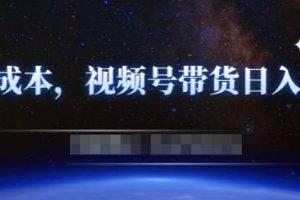 零基礎視頻號帶貨賺錢項目，0成本0門檻輕松日入300 【視頻教程】