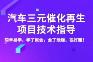 汽車三元催化再生項目技術指導，簡單易學，學了就會，會了能賺，很好賺！