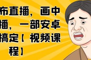 無綠布直播，畫中畫直播，一部安卓手機搞定【視頻課程】