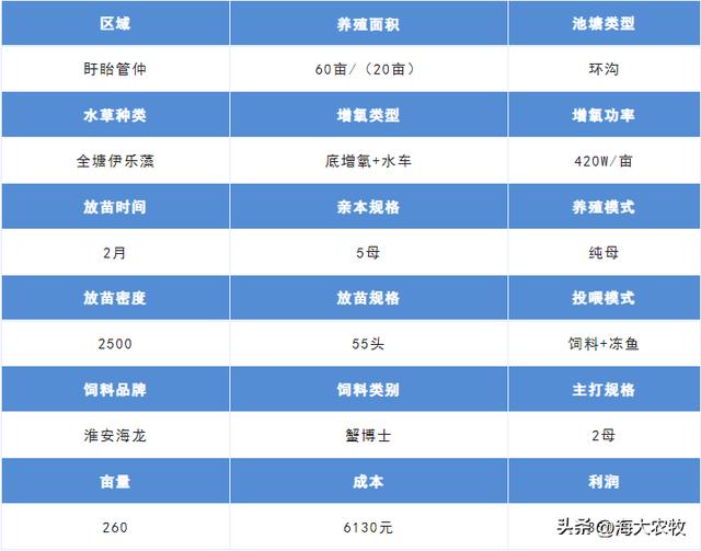—個10畝魚塘養(yǎng)魚利潤10畝池塘養(yǎng)魚利潤插圖2 —個10畝魚塘養(yǎng)魚利潤10畝池塘養(yǎng)魚利潤插圖2