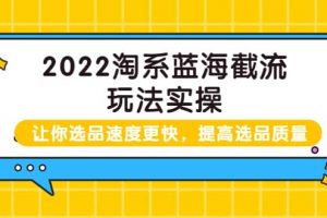 2022淘系藍海截流玩法實操：讓你選品速度更快，提高選品質(zhì)量（價值599）