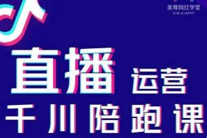 美尊-抖音直播運營千川系統(tǒng)課：直播?運營規(guī)劃、起號、主播培養(yǎng)、千川投放等
