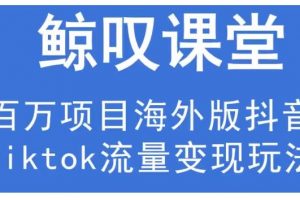 鯨嘆號(hào)·海外TIKTOK訓(xùn)練營(yíng)，百萬(wàn)項(xiàng)目海外版抖音tiktok流量變現(xiàn)玩法