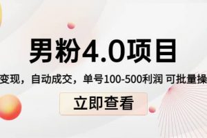 道哥說創(chuàng)業(yè)男粉1 2 3 4.0項目：私域變現 自動成交 可批量
