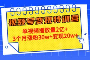 20天視頻號(hào)變現(xiàn)特訓(xùn)營(yíng)：?jiǎn)我曨l播放量2億