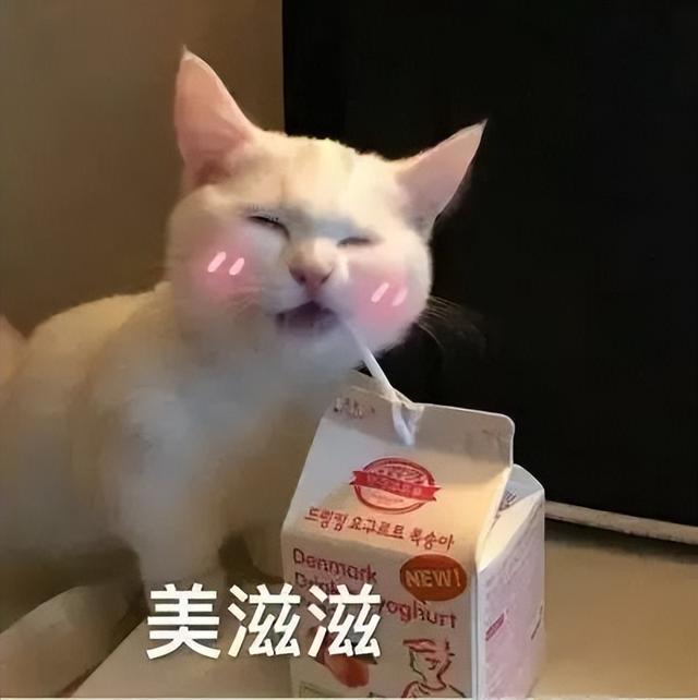 不正規(guī)的賺錢路子網(wǎng)上搞錢路子插圖2 不正規(guī)的賺錢路子網(wǎng)上搞錢路子插圖2