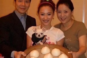 張柏芝回應生三胎生父劉德華張柏芝生三胎真實生父是謝霆鋒