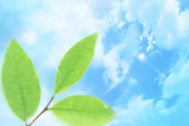最聰明的存錢法12個(gè)月最聰明的存錢法是存折還是卡插圖1 最聰明的存錢法12個(gè)月最聰明的存錢法是存折還是卡插圖1