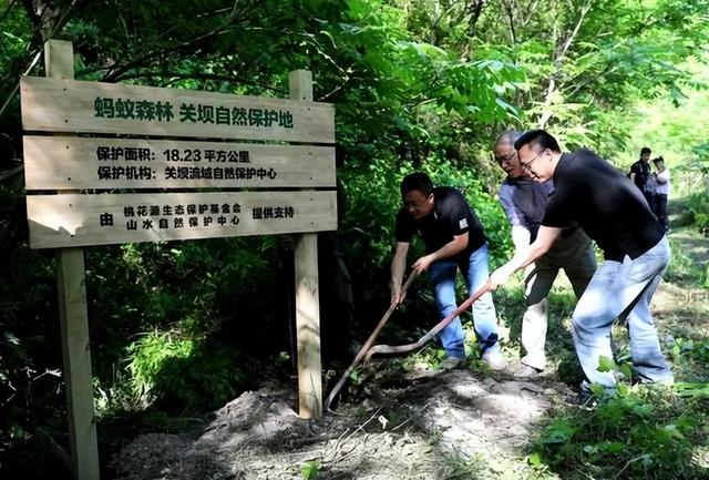 螞蟻森林暴露消費記錄通過螞蟻森林看消費記錄插圖1 螞蟻森林暴露消費記錄通過螞蟻森林看消費記錄插圖1