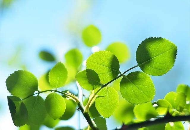 最聰明的存錢法12個(gè)月最聰明的存錢法是存折還是卡插圖3 最聰明的存錢法12個(gè)月最聰明的存錢法是存折還是卡插圖3