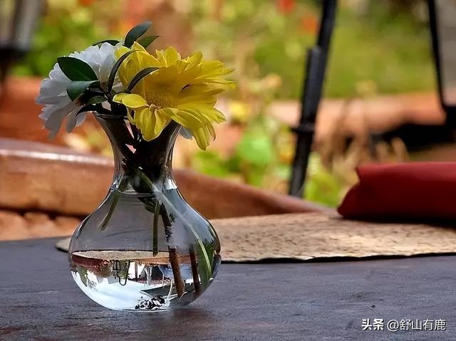 福緣論壇福緣論壇真的嗎插圖