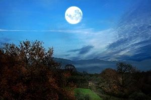 郎玉郎玉麟簡歷