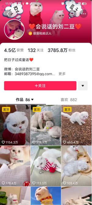 一個人適合做哪—領域短視頻做短視頻新手怎么入門插圖3 一個人適合做哪—領域短視頻做短視頻新手怎么入門插圖3