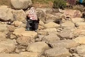 世界上最恐怖的孔雀世界上最恐怖的孔雀長什么樣