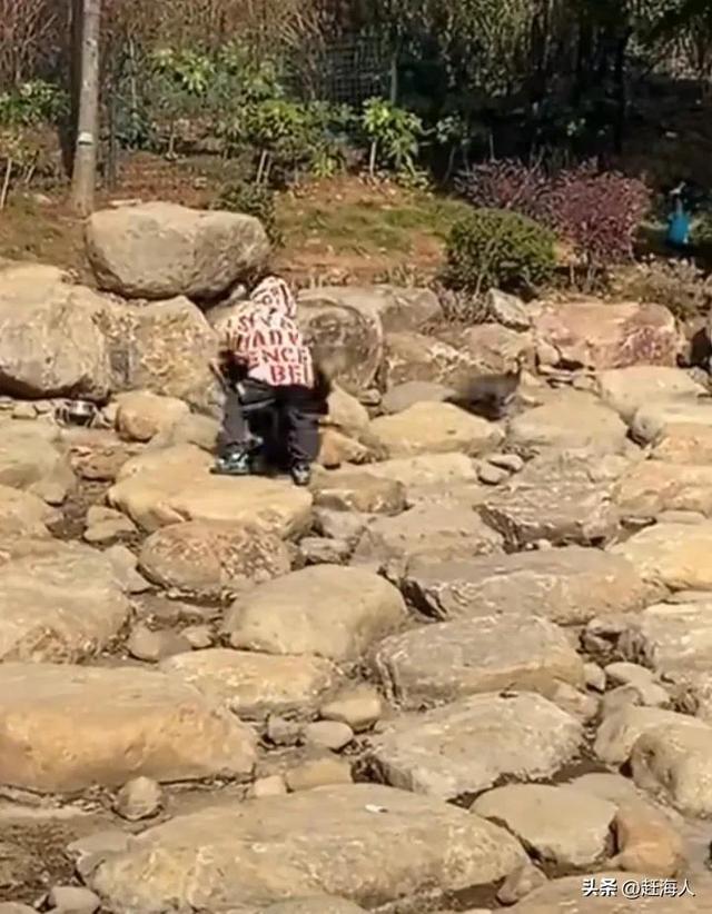 世界上最恐怖的孔雀世界上最恐怖的孔雀長什么樣插圖 世界上最恐怖的孔雀世界上最恐怖的孔雀長什么樣插圖