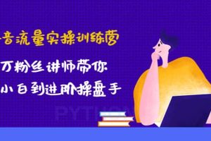 抖音流量實操訓(xùn)練營：百萬粉絲講師帶你從小白到進(jìn)階操盤手
