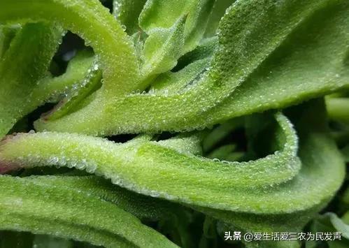 無本錢創業的十個行業現在無本熱門的賺錢行業插圖6 無本錢創業的十個行業現在無本熱門的賺錢行業插圖6