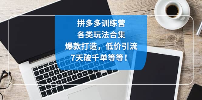 拼多多訓(xùn)練營：各玩法合集，爆款打造，低價引流，7天破千單等等插圖