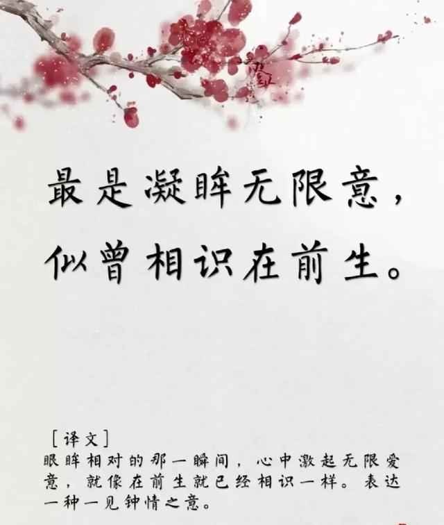 用古文暗示我等你白茶清歡無(wú)別事,我在等風(fēng)也等你全詩(shī)插圖2 用古文暗示我等你白茶清歡無(wú)別事,我在等風(fēng)也等你全詩(shī)插圖2
