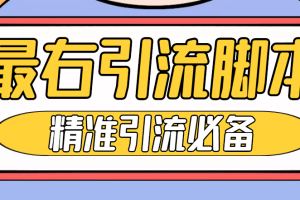 【引流必備】神鷹-最右引流腳本【永久版腳本 詳細(xì)教程】