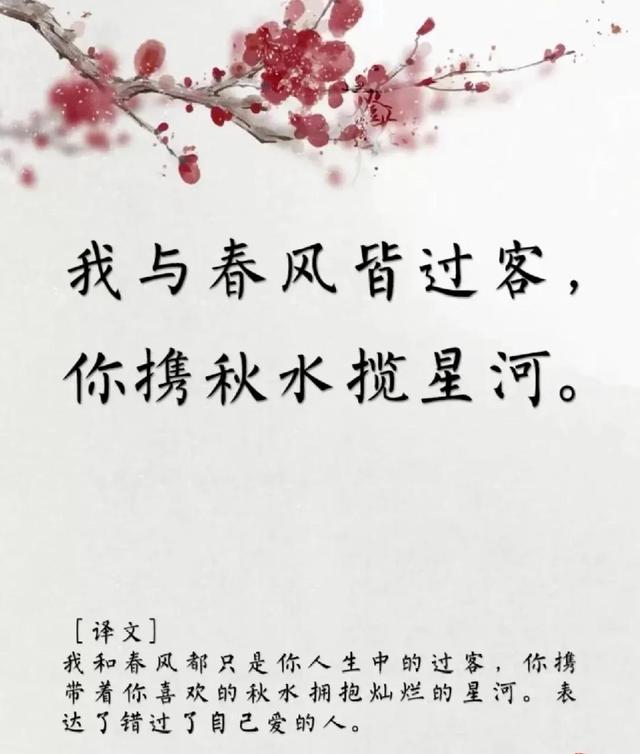 用古文暗示我等你白茶清歡無(wú)別事,我在等風(fēng)也等你全詩(shī)插圖1 用古文暗示我等你白茶清歡無(wú)別事,我在等風(fēng)也等你全詩(shī)插圖1