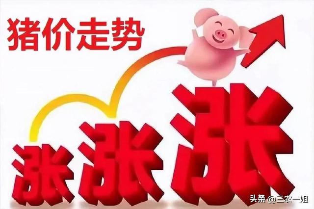 2022年養什么掙錢最快的2022年養啥最掙錢東北插圖 2022年養什么掙錢最快的2022年養啥最掙錢東北插圖