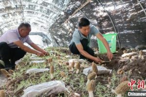 鄉(xiāng)鎮(zhèn)空缺生意鄉(xiāng)鎮(zhèn)空缺生意手工活加工