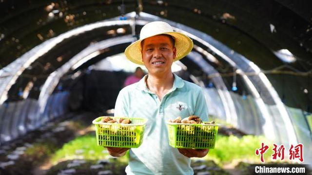 鄉鎮空缺生意鄉鎮空缺生意手工活加工插圖2