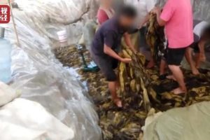 快消品是什么快消品是什么意思啊