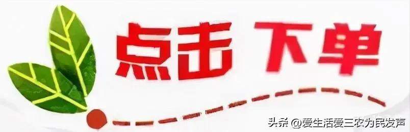 無本錢創業的十個行業現在無本熱門的賺錢行業插圖8 無本錢創業的十個行業現在無本熱門的賺錢行業插圖8