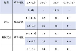 龍膽魚價格—斤多少錢龍膽魚的價格