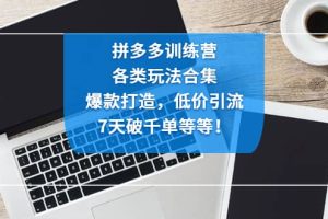拼多多訓(xùn)練營：各玩法合集，爆款打造，低價引流，7天破千單等等