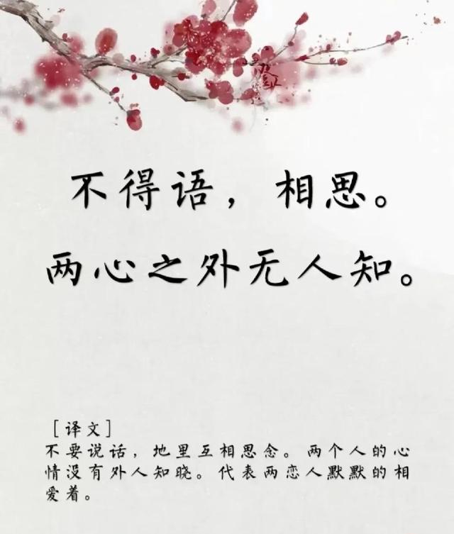 用古文暗示我等你白茶清歡無(wú)別事,我在等風(fēng)也等你全詩(shī)插圖6 用古文暗示我等你白茶清歡無(wú)別事,我在等風(fēng)也等你全詩(shī)插圖6