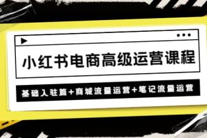 小紅書電商高級運營課程：基礎入駐篇 商城流量運營 筆記流量運營
