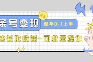 2023頭條號實操變現課：新手0-1輕松上手，快速獲取收益-可批量操作