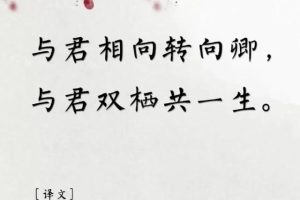 用古文暗示我等你白茶清歡無別事,我在等風也等你全詩