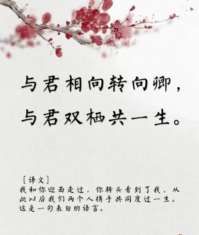 用古文暗示我等你白茶清歡無(wú)別事,我在等風(fēng)也等你全詩(shī)插圖 用古文暗示我等你白茶清歡無(wú)別事,我在等風(fēng)也等你全詩(shī)插圖