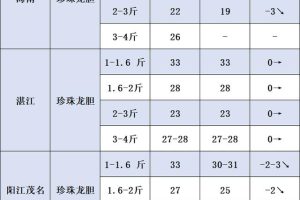 龍膽魚價格—斤多少錢活龍膽魚多少錢一斤