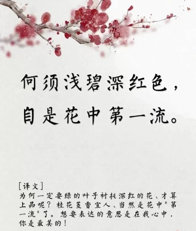用古文暗示我等你白茶清歡無(wú)別事,我在等風(fēng)也等你全詩(shī)插圖3 用古文暗示我等你白茶清歡無(wú)別事,我在等風(fēng)也等你全詩(shī)插圖3