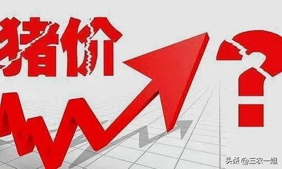 2022年養什么掙錢最快的2022年養啥最掙錢東北插圖7 2022年養什么掙錢最快的2022年養啥最掙錢東北插圖7