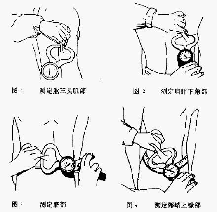 正常腰圍標準對照表女正常腰圍標準對照表男插圖2 正常腰圍標準對照表女正常腰圍標準對照表男插圖2