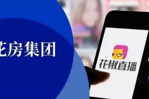 網絡擦邊球暴利項目網絡擦邊球暴利項目