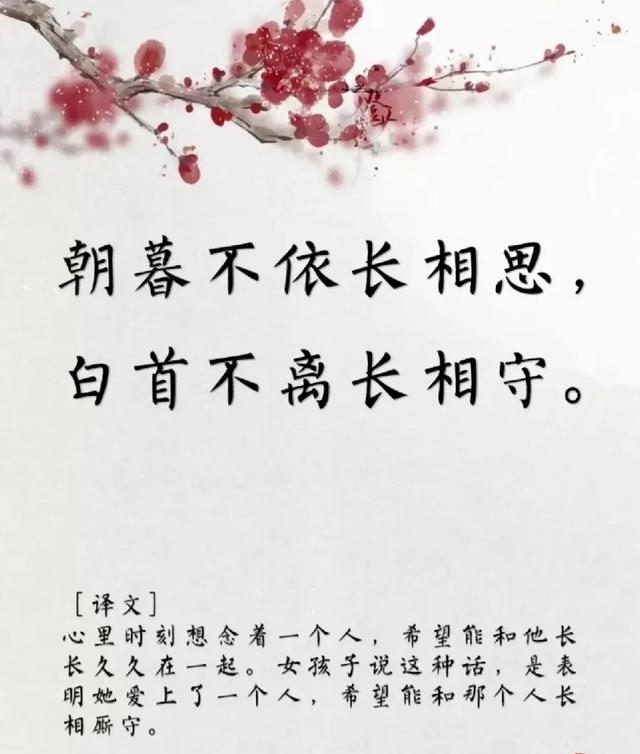 用古文暗示我等你白茶清歡無(wú)別事,我在等風(fēng)也等你全詩(shī)插圖7 用古文暗示我等你白茶清歡無(wú)別事,我在等風(fēng)也等你全詩(shī)插圖7