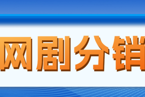 網(wǎng)劇分銷，新藍(lán)海項(xiàng)目，很輕松，現(xiàn)在入場(chǎng)是非常好的時(shí)機(jī)