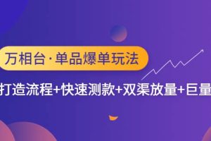 萬(wàn)相臺(tái)·單品爆單玩法，單爆打造流程 快速測(cè)款 雙渠放量 巨量引爆