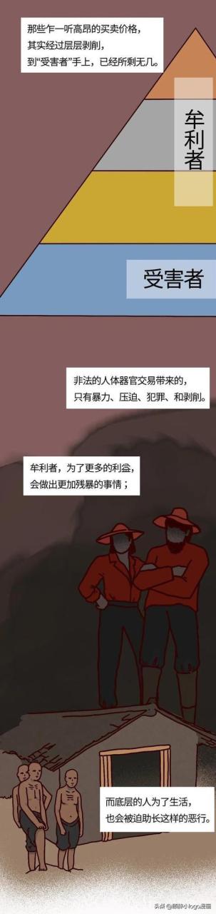 現(xiàn)在—個腎值多少錢插圖4 現(xiàn)在—個腎值多少錢插圖4