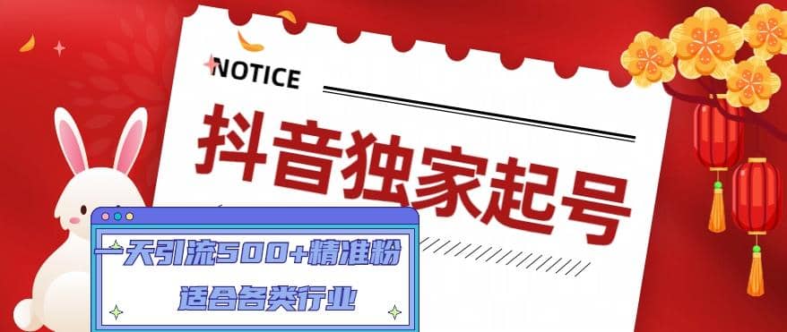 抖音獨(dú)家起號(hào)，適合各類行業(yè)（9節(jié)視頻課）插圖