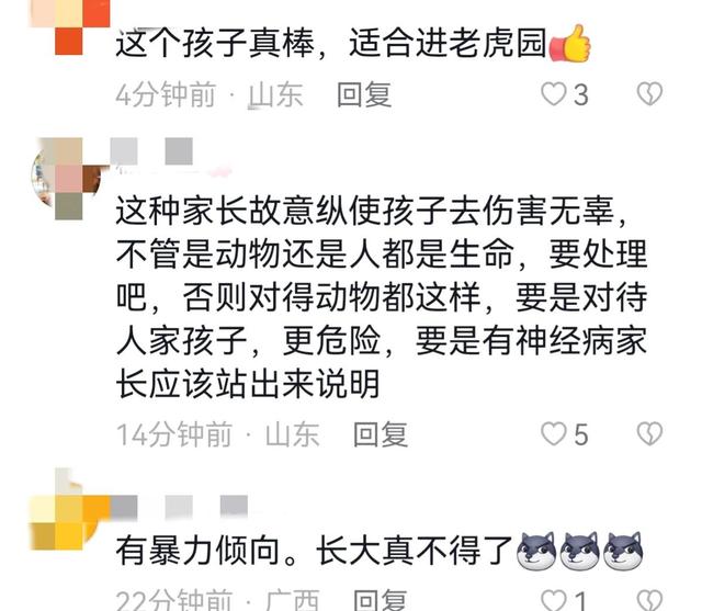 世界上最恐怖的孔雀世界上最恐怖的孔雀是什么插圖7 世界上最恐怖的孔雀世界上最恐怖的孔雀是什么插圖7