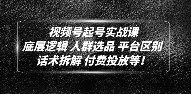 視頻號(hào)起號(hào)實(shí)戰(zhàn)課：底層邏輯 人群選品 平臺(tái)區(qū)別 話術(shù)拆解 付費(fèi)投放等插圖