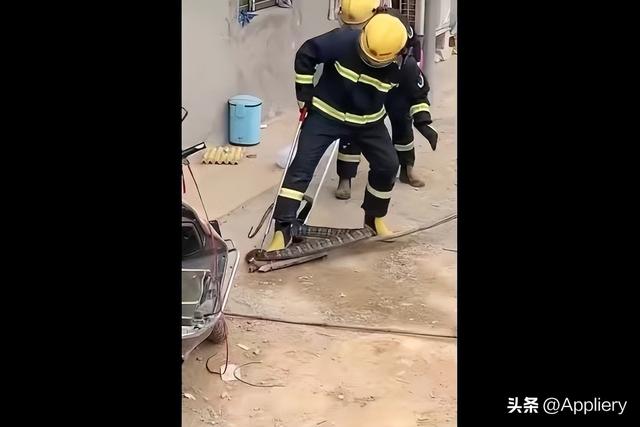大蛇太難對付我堅(jiān)持不住了有兩條蛇住進(jìn)了我身體插圖3 大蛇太難對付我堅(jiān)持不住了有兩條蛇住進(jìn)了我身體插圖3